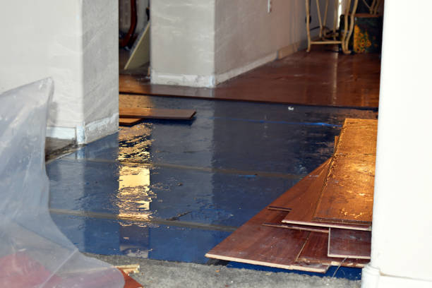 Professional Basement Flood Cleanup technician working in Greenland, AR